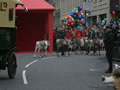 2008: Harrods Christmas Parade (22)