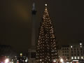 2008: Trafalgar Square (2)