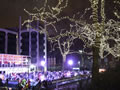 2008: Natural History Museum Ice Rink