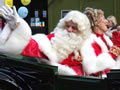 2011: Harrods Christmas Parade (13)