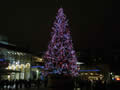2012: Covent Garden