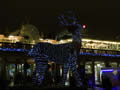 2012: Covent Garden (4)