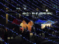 2012: Southbank Christmas Market