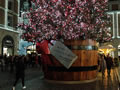 2019: Covent Garden (2)