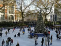 2019: Natural History Museum Rink