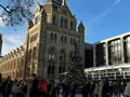 2019: Natural History Museum Rink (2)