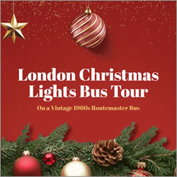 A Christmas Lights Experience