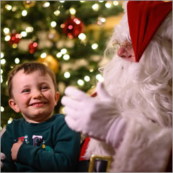 Chiswick House Christmas