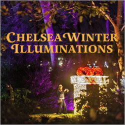 Chelsea Winter Illuminations