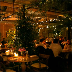 Petersham Nurseries Christmas Workshops