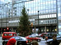 2002: Knightsbridge
