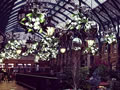 2020: Covent Garden (2)
