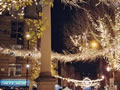 2020: Seven Dials