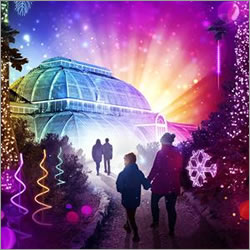 Kew Gardens - Christmas Trail
